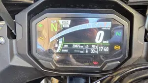 Kawasaki Ninja 1000 SX (2021 - 24)  (6)