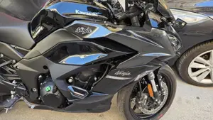 Kawasaki Ninja 1000 SX (2021 - 24)  (8)