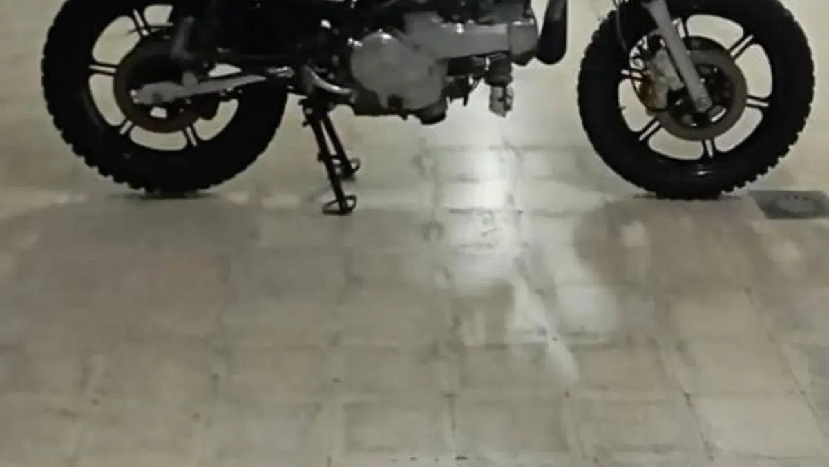 Ducati  