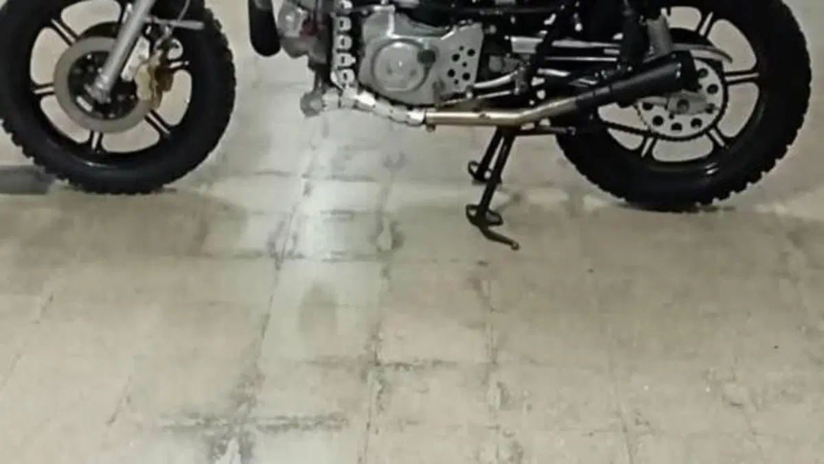 Ducati   (2)