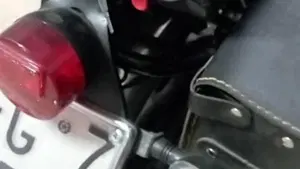 Ducati   (6)