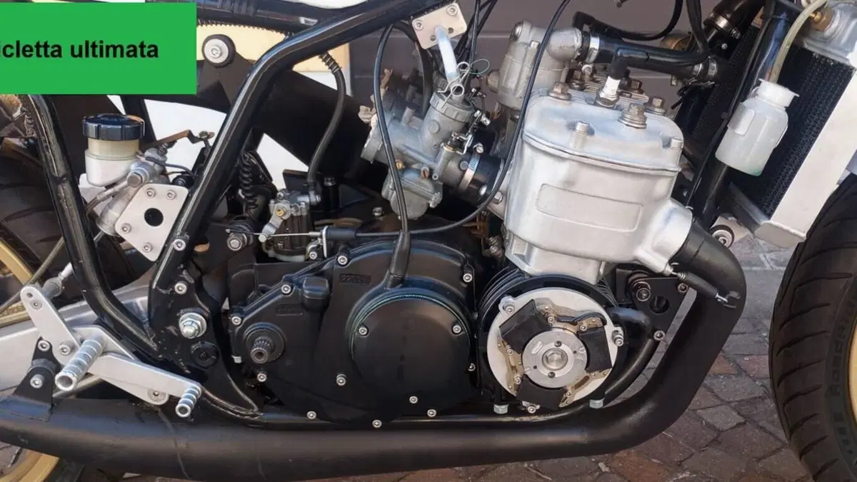 Suzuki   (15)