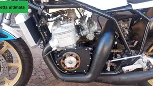 Suzuki   (17)