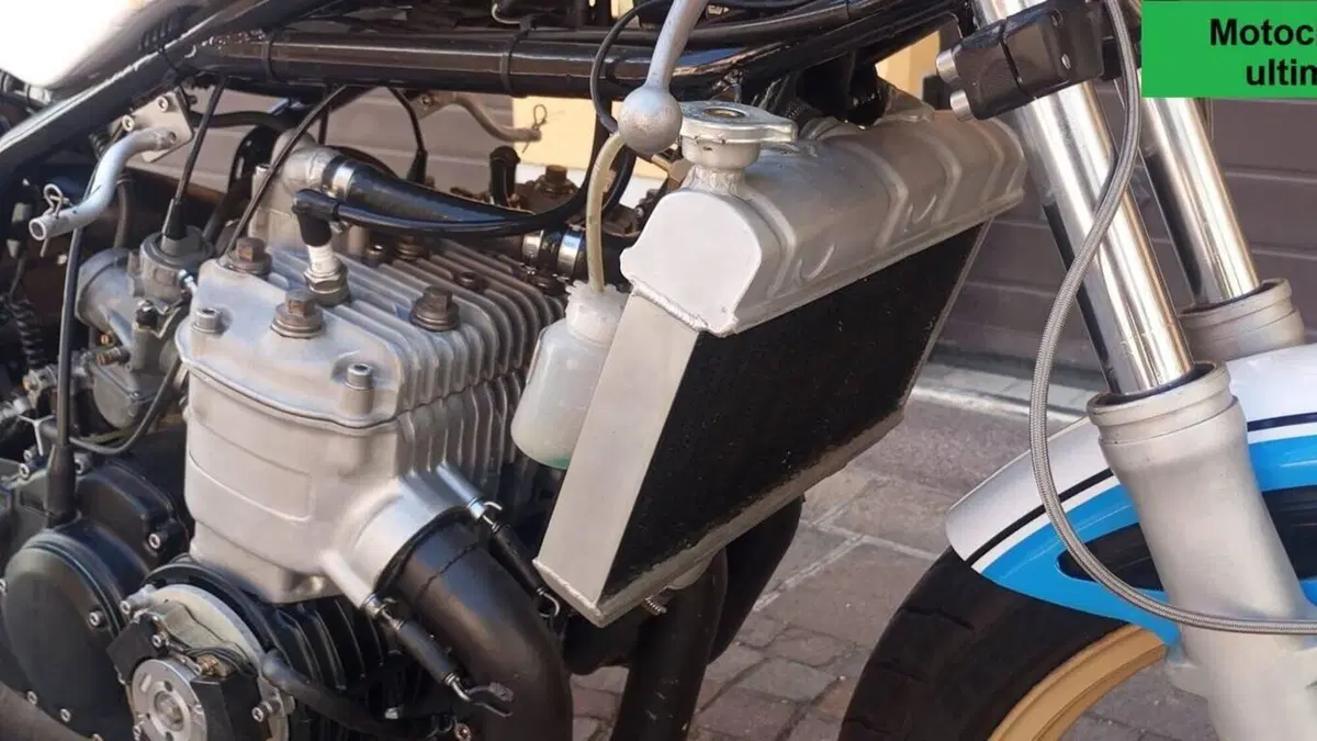 Suzuki   (19)