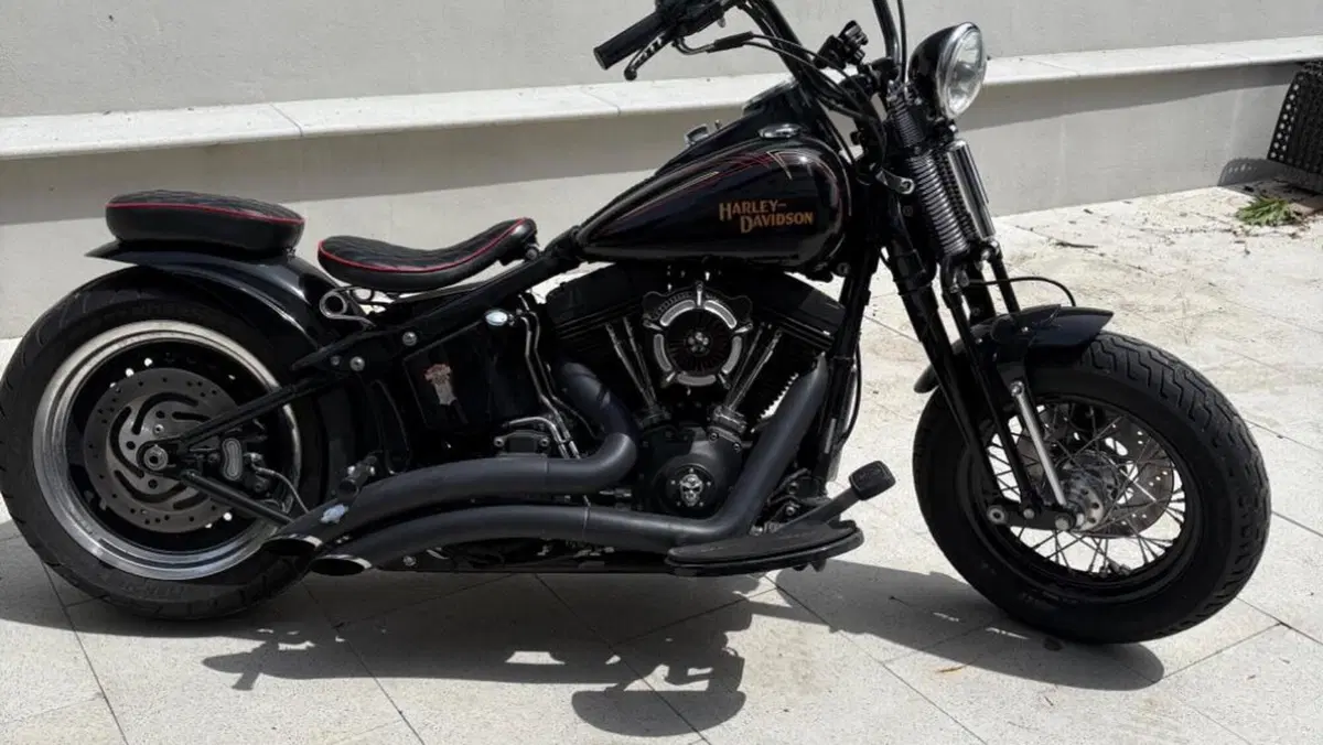 Harley-Davidson 1584 Cross Bones (2008 - 11) - FLSTSB 