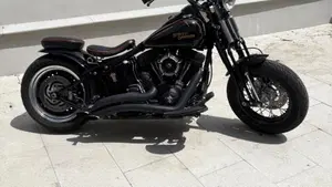 Harley-Davidson 1584 Cross Bones (2008 - 11) - FLSTSB  (2)