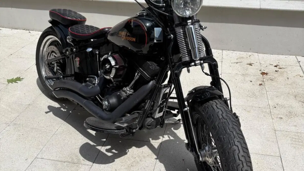 Harley-Davidson 1584 Cross Bones (2008 - 11) - FLSTSB  (3)