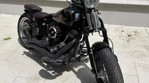 Harley-Davidson 1584 Cross Bones (2008 - 11) - FLSTSB  (3)