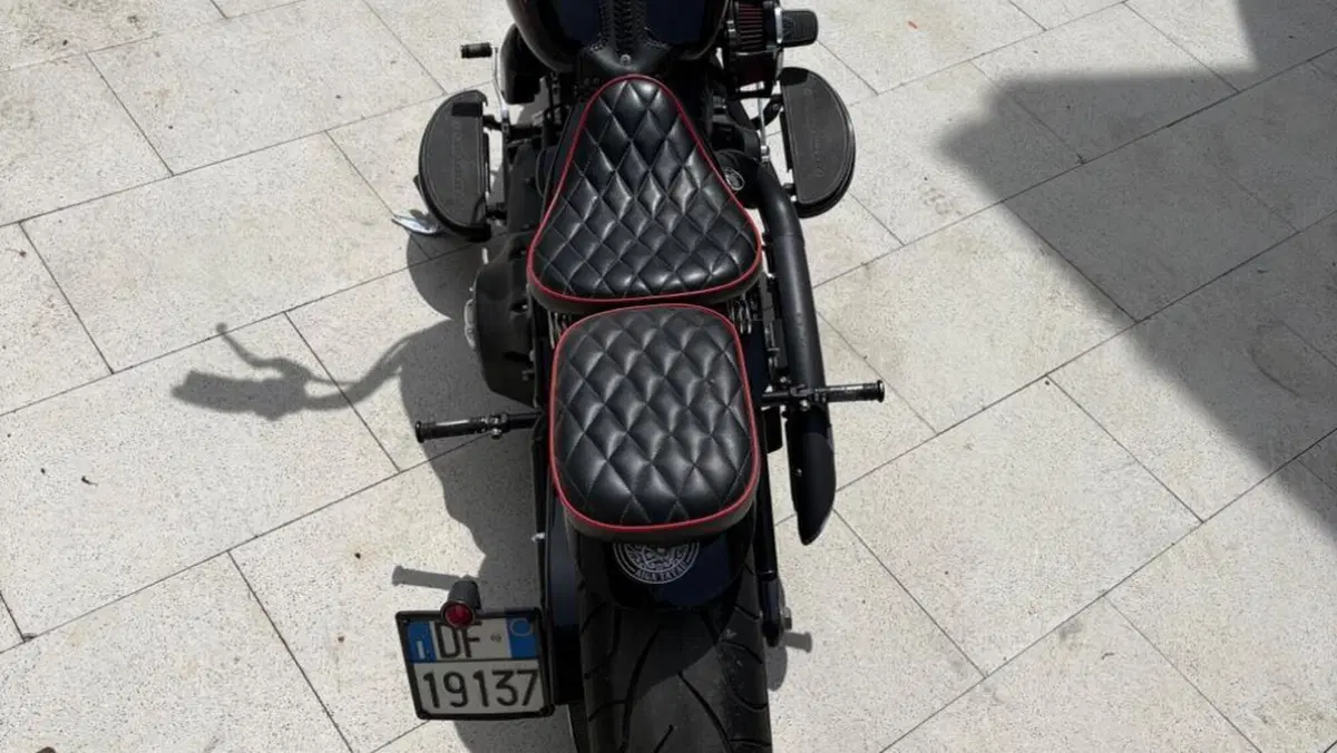 Harley-Davidson 1584 Cross Bones (2008 - 11) - FLSTSB  (4)