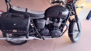 Triumph Bonneville T100 (2008 - 16)  (2)