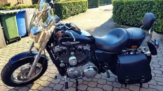 Harley-Davidson 1200 Custom (2007 - 13) - XL 1200C