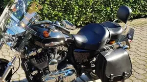 Harley-Davidson 1200 Custom (2007 - 13) - XL 1200C  (5)