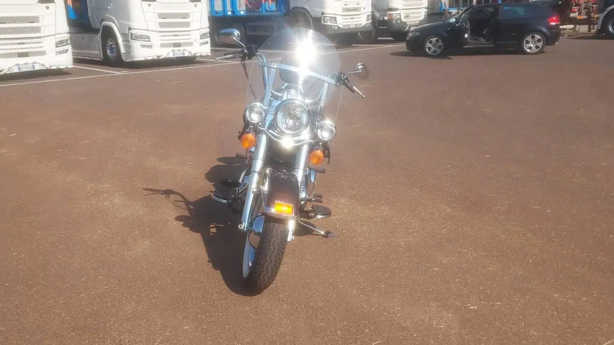 Harley-Davidson 1690 Heritage Classic (2011 - 17) - FLSTC  (4)