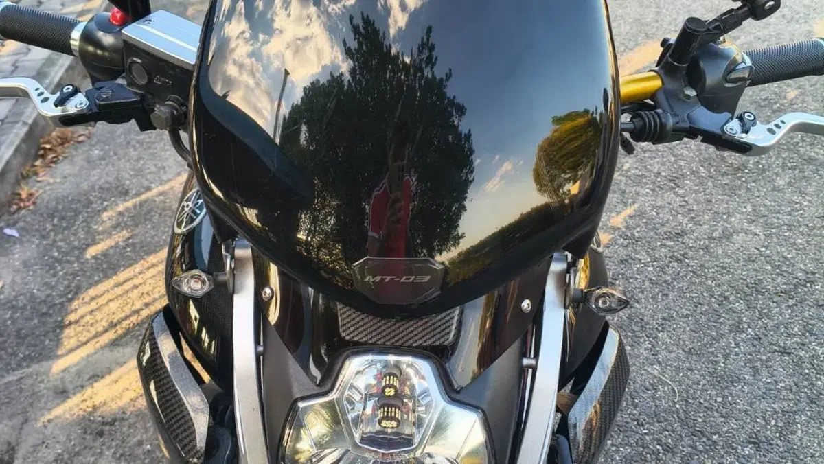 Yamaha MT-03 (2006 - 14)  (9)