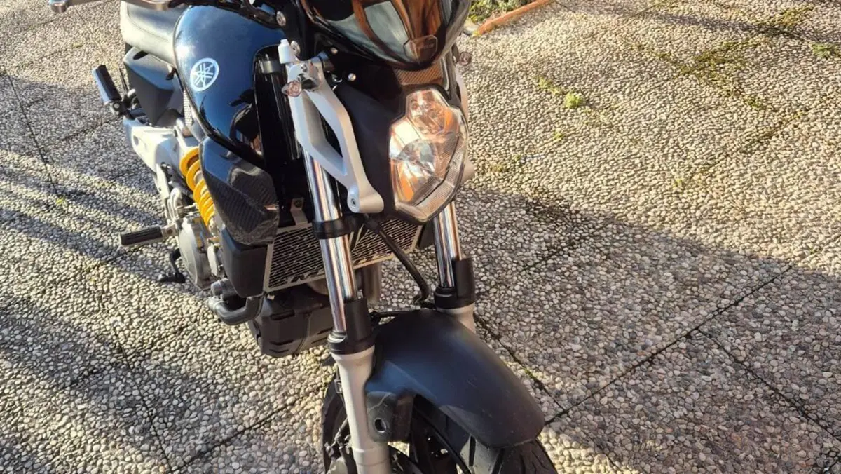 Yamaha MT-03 (2006 - 14)  (11)