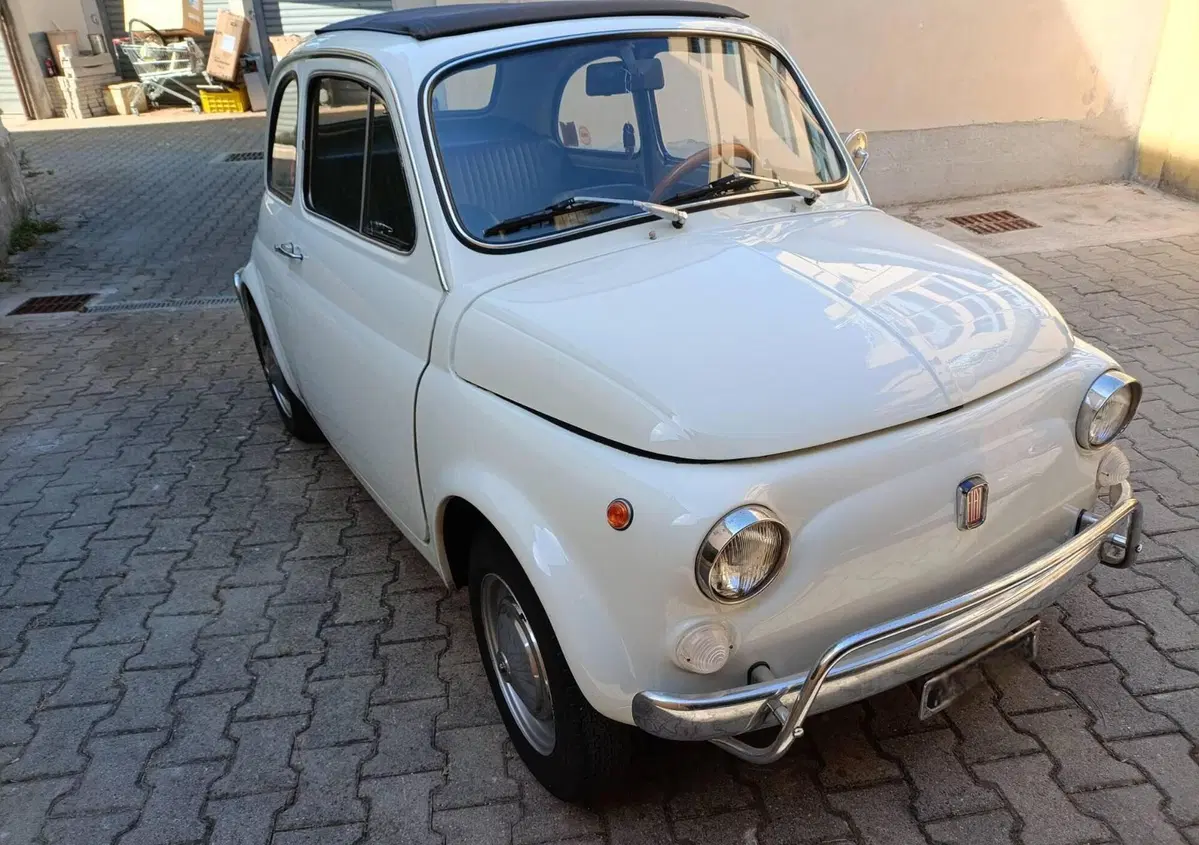 Fiat 500 L  (2)