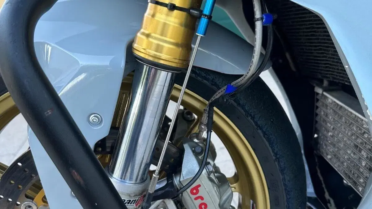 Bmw S 1000 RR (2017 - 18)  (5)
