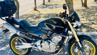 Honda Hornet 600 (2005 - 06) usata