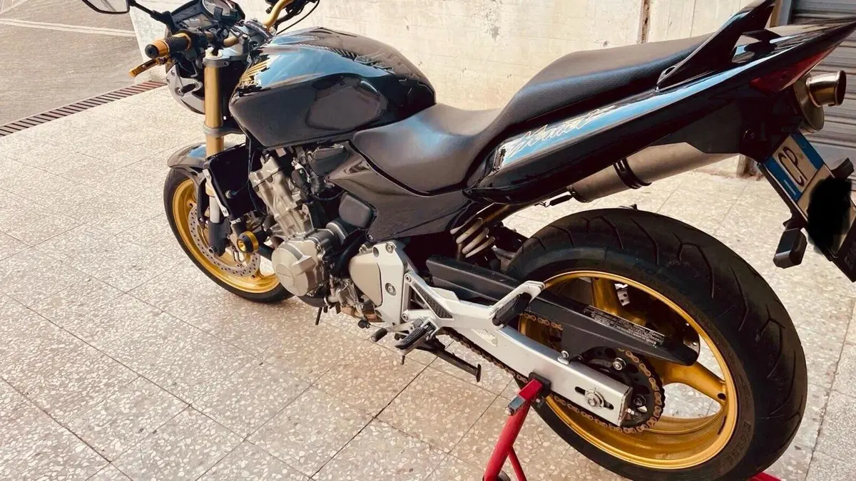 Honda Hornet 600 (2005 - 06)  (9)