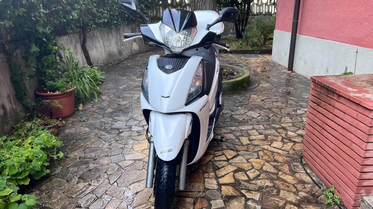 Kymco People 300i GT ABS (2010 - 17)  (2)