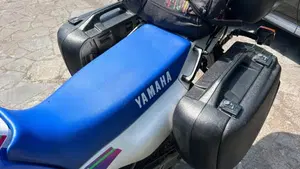Yamaha XT 600 E (1990 - 04)  (4)