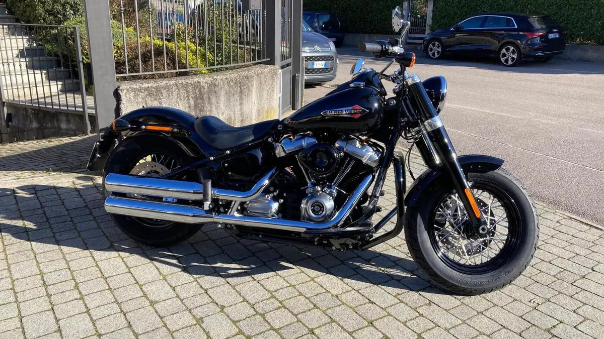 Harley-Davidson 107 Slim (2018 - 20) - FLSL  (2)