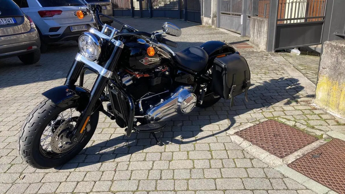 Harley-Davidson 107 Slim (2018 - 20) - FLSL  (3)