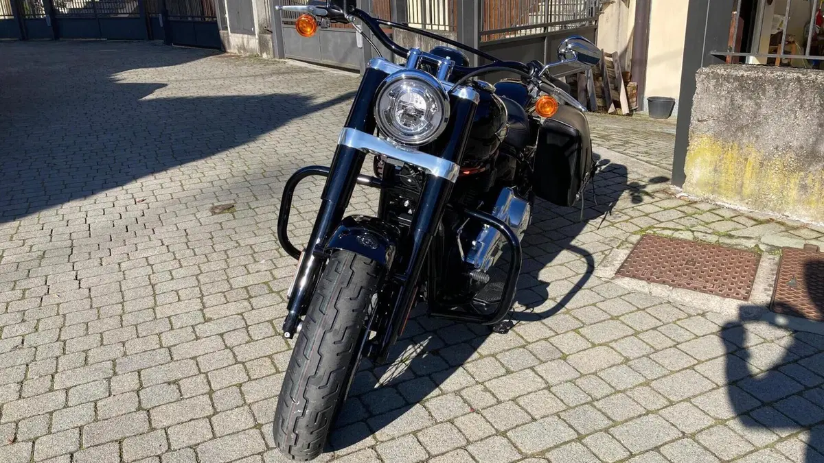 Harley-Davidson 107 Slim (2018 - 20) - FLSL  (4)