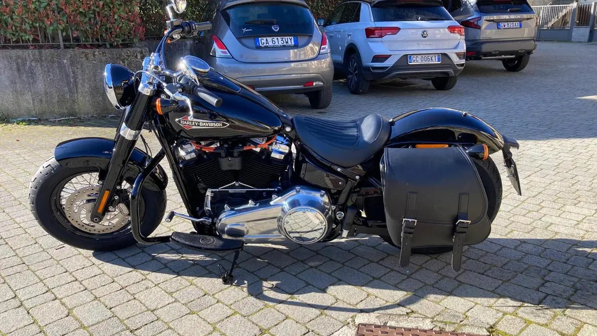 Harley-Davidson 107 Slim (2018 - 20) - FLSL  (6)