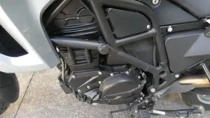 Bmw F 650 GS (2008 - 12)  (3)