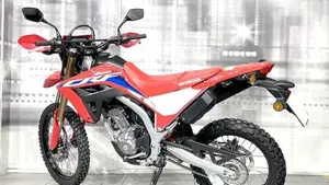 Honda CRF 300L (2021 - 24)  (2)