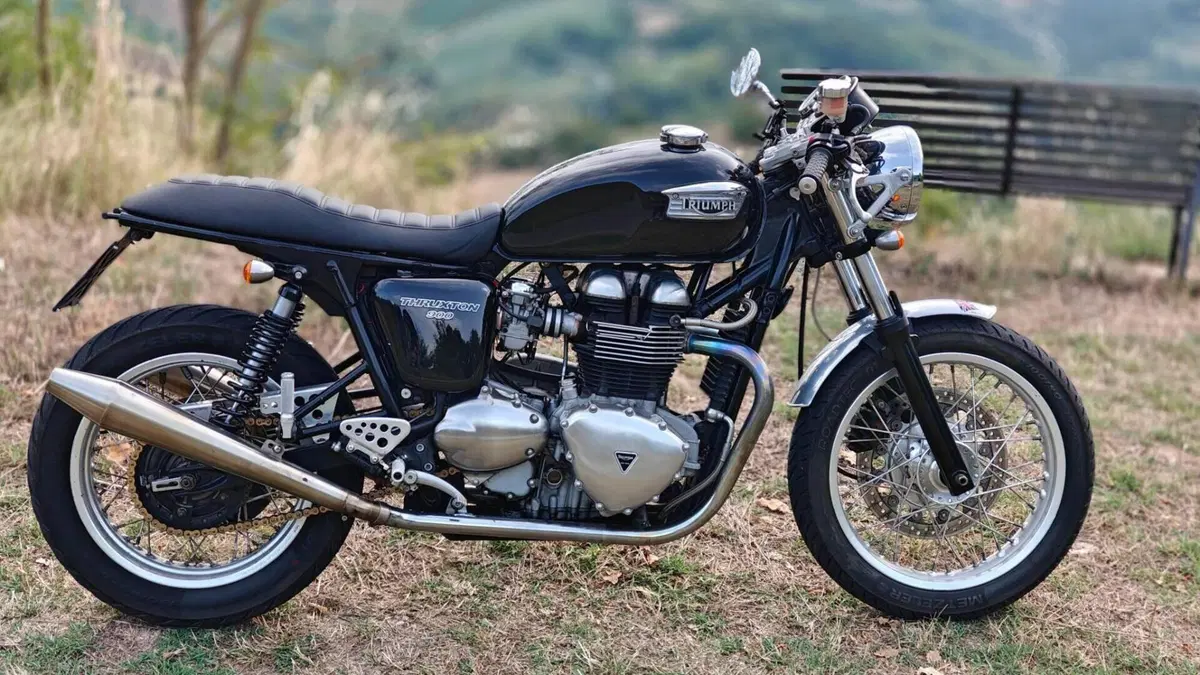 Triumph Thruxton 900 (2004 - 15) 