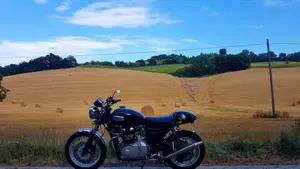 Triumph Thruxton 900 (2004 - 15)  (7)