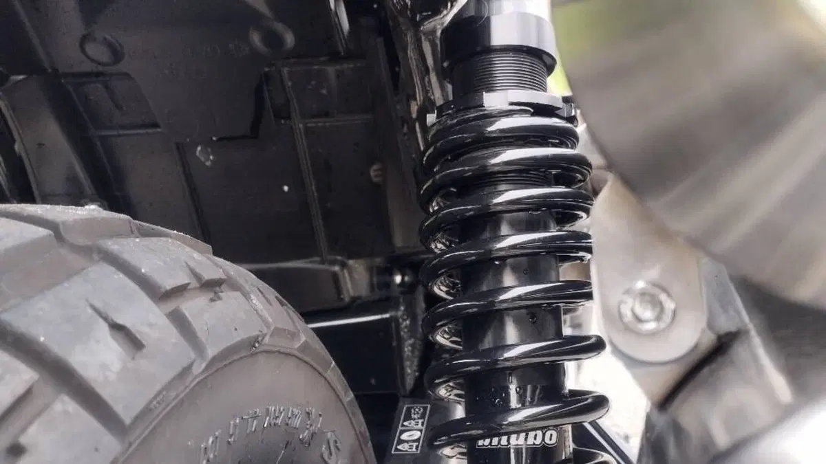 Triumph Scrambler 900 (2023 - 25)  (4)