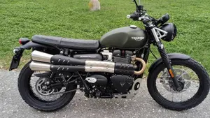 Triumph Scrambler 900 (2023 - 25)  (6)