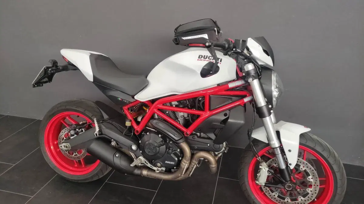 Ducati Monster 797 Plus (2019)  (2)