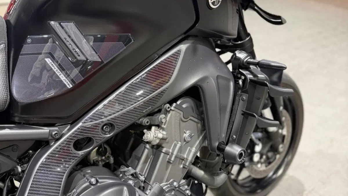 Yamaha MT-09 (2021 - 23)  (8)