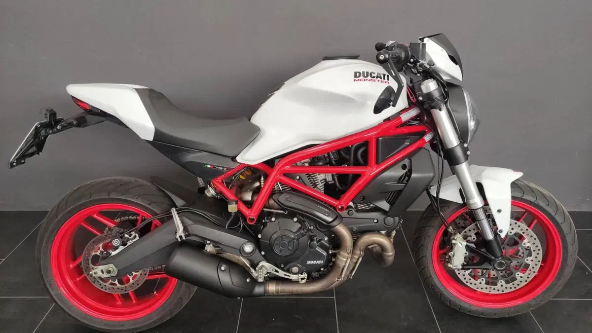Ducati Monster 797 Plus (2019) 