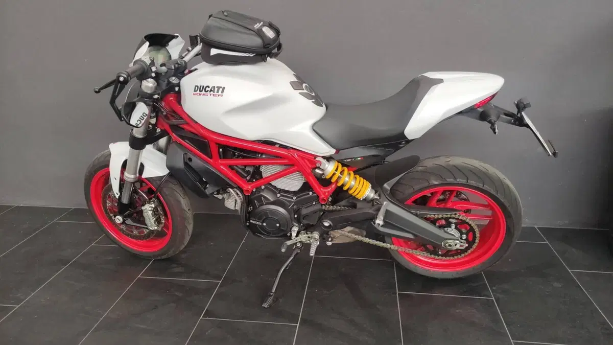 Ducati Monster 797 Plus (2019)  (3)