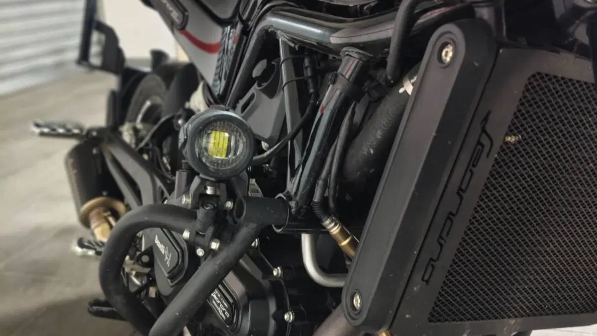 Benelli Leoncino 500 Trail ABS (2017 - 20)  (4)