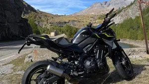 Kawasaki Z 900 (2021 - 24)  (2)