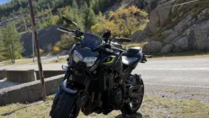 Kawasaki Z 900 (2021 - 24) 