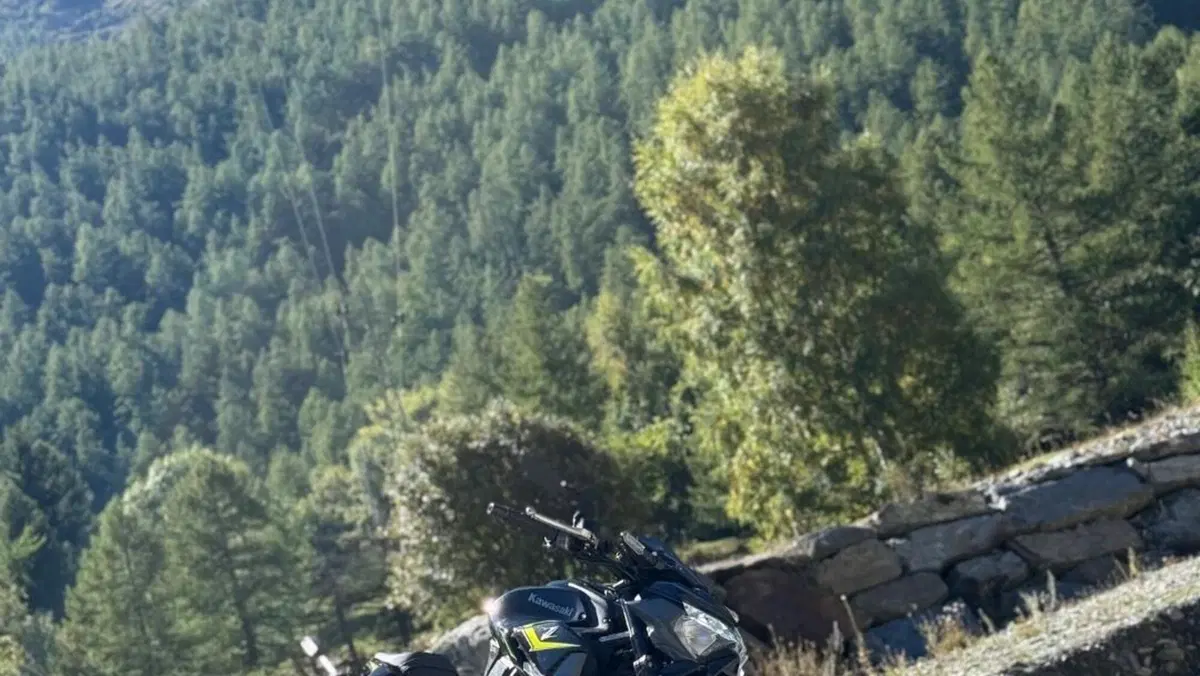 Kawasaki Z 900 (2021 - 24)  (6)
