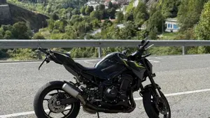 Kawasaki Z 900 (2021 - 24)  (9)