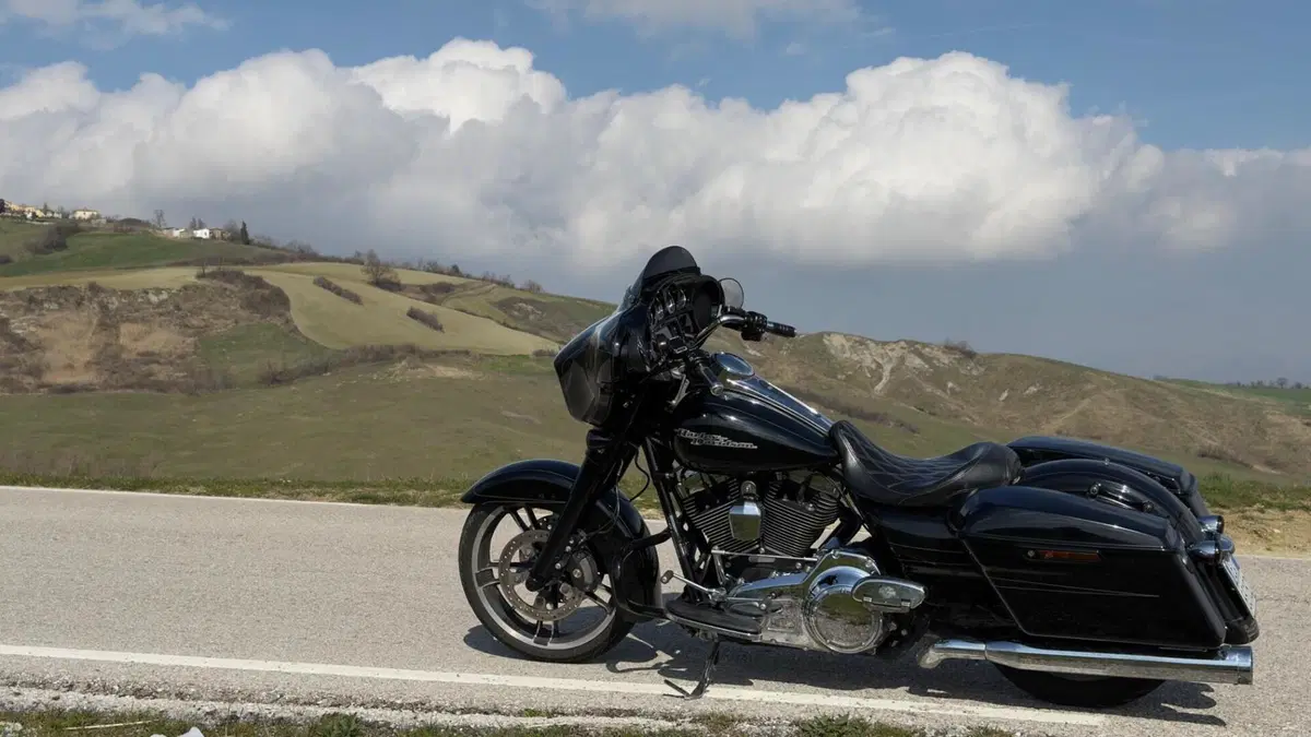 Harley-Davidson 1690 Street Glide Special (2014 - 16) - FLHX  (2)