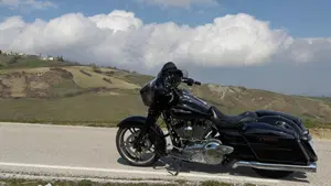 Harley-Davidson 1690 Street Glide Special (2014 - 16) - FLHX  (2)