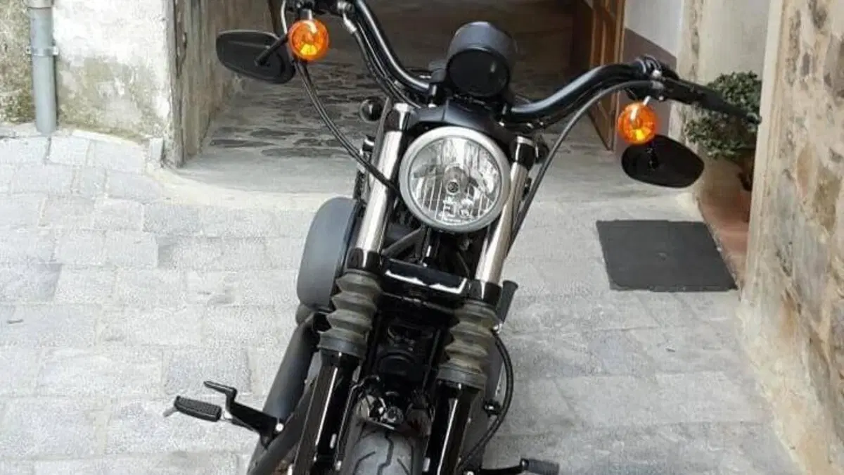 Harley-Davidson XL 1200N Nightster (2008 - 12)  (3)