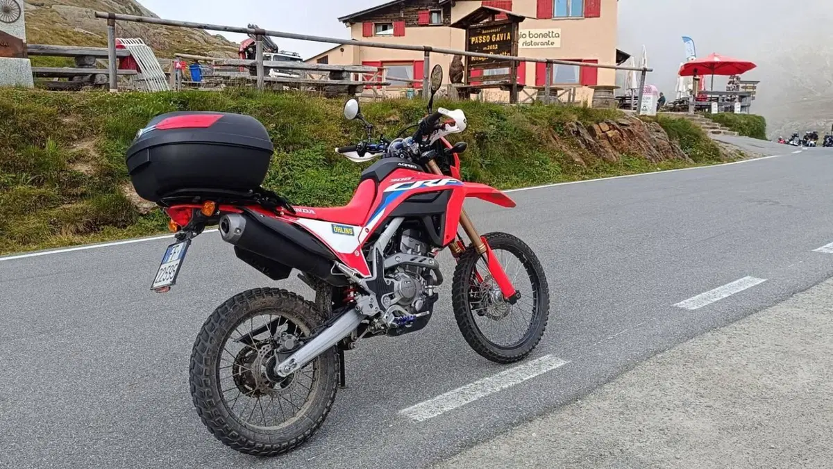 Honda CRF 300L (2021 - 24)  (2)