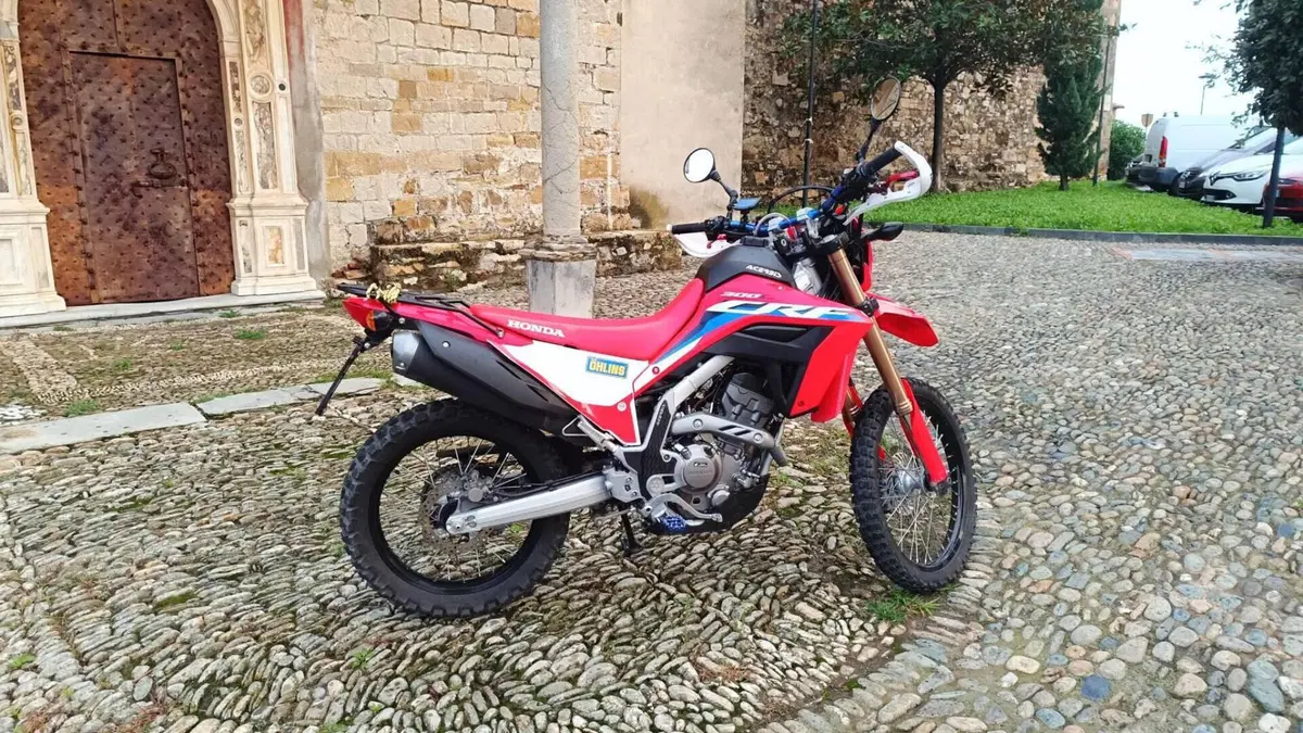 Honda CRF 300L (2021 - 24)  (3)