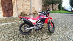 Honda CRF 300L (2021 - 24)  (3)